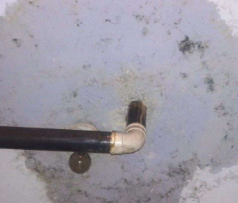 西区卫生间防水哪家好