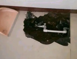 西区卫生间测漏水多少钱