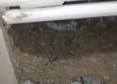 西区卫生间测漏水多少钱